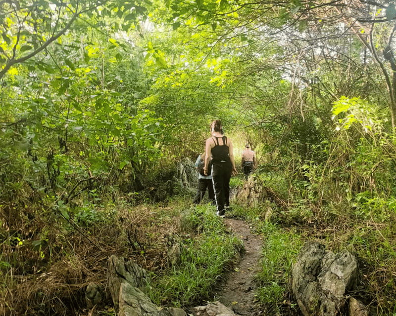 Manila: Mt. Kulis, Tanay, Rizal Hike and Scenic Adventure - The Value of the Experience