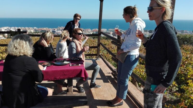 Manilva: Nilva Vineyard, Wine Tasting & Tapas Guided Tour - Key Points