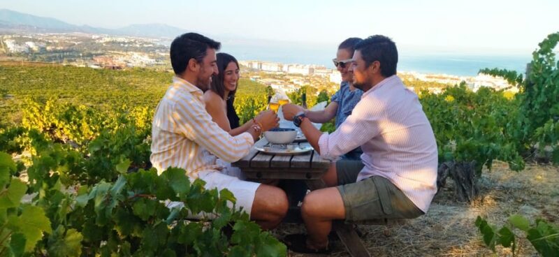 Manilva: Nilva Vineyard, Wine Tasting & Tapas Guided Tour - The Full Experience: What to Expect from Start to Finish