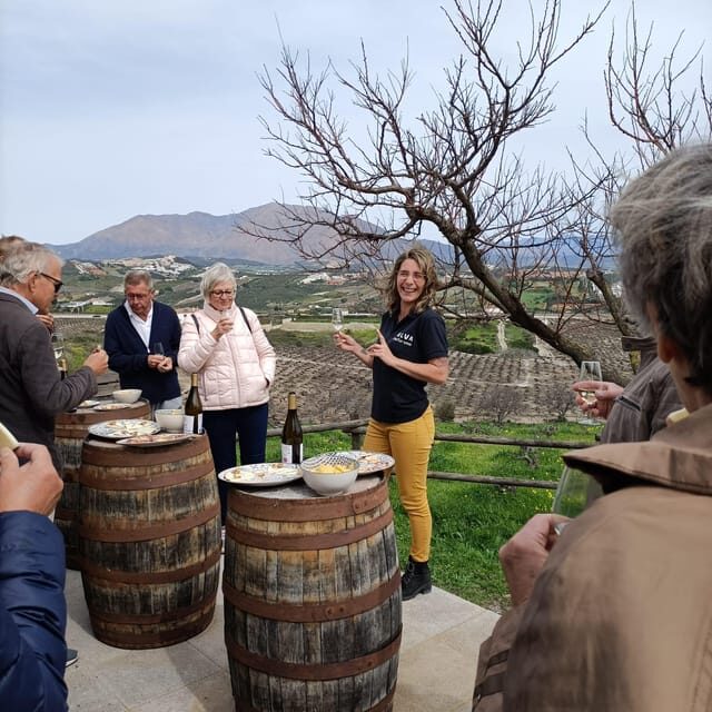 Manilva: Nilva Vineyard, Wine Tasting & Tapas Guided Tour - Who Should Consider This Tour?