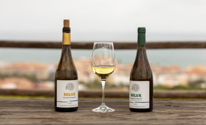 Manilva: Nilva Wine Experience - Wine & Tapas - Good To Know