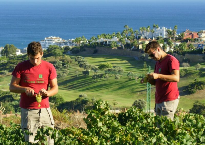 Manilva: Nilva Wine Experience - Wine & Tapas - Manilva and Its Significance