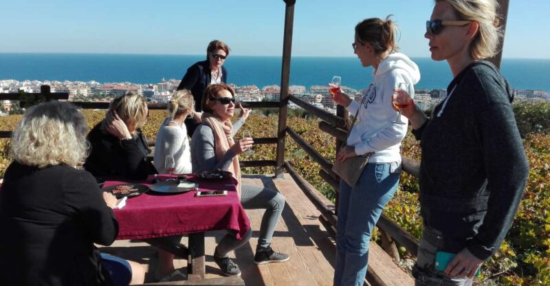 Manilva: Nilva Wine Experience - Wine & Tapas - Tour Highlights