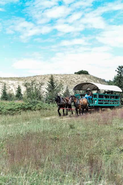 Manitoba: Horse-Drawn Wagon Ride in Spruce Woods Park - Exploring Spruce Woods Provincial Park’s Spirit Sands: What to Expect