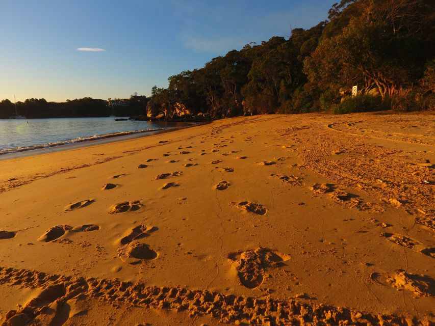 Manly: 3-Beach Kayak Tour With Lunch - Tour Restrictions