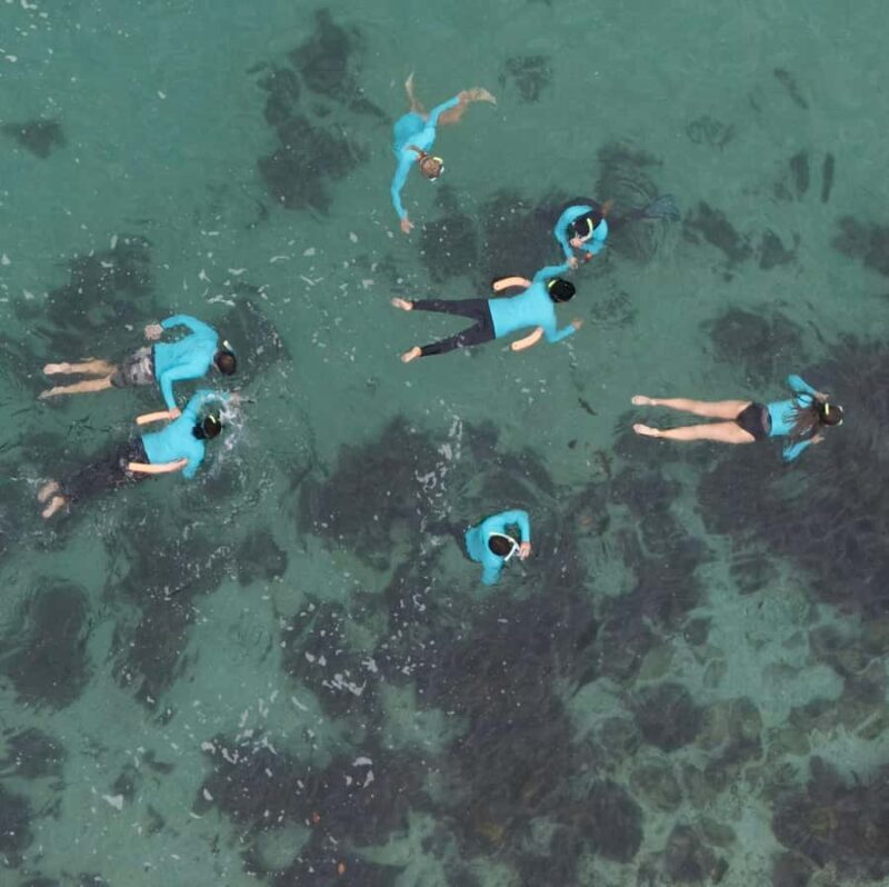 Manly Beach Guided Snorkeling Tours - An In-Depth Look at What to Expect