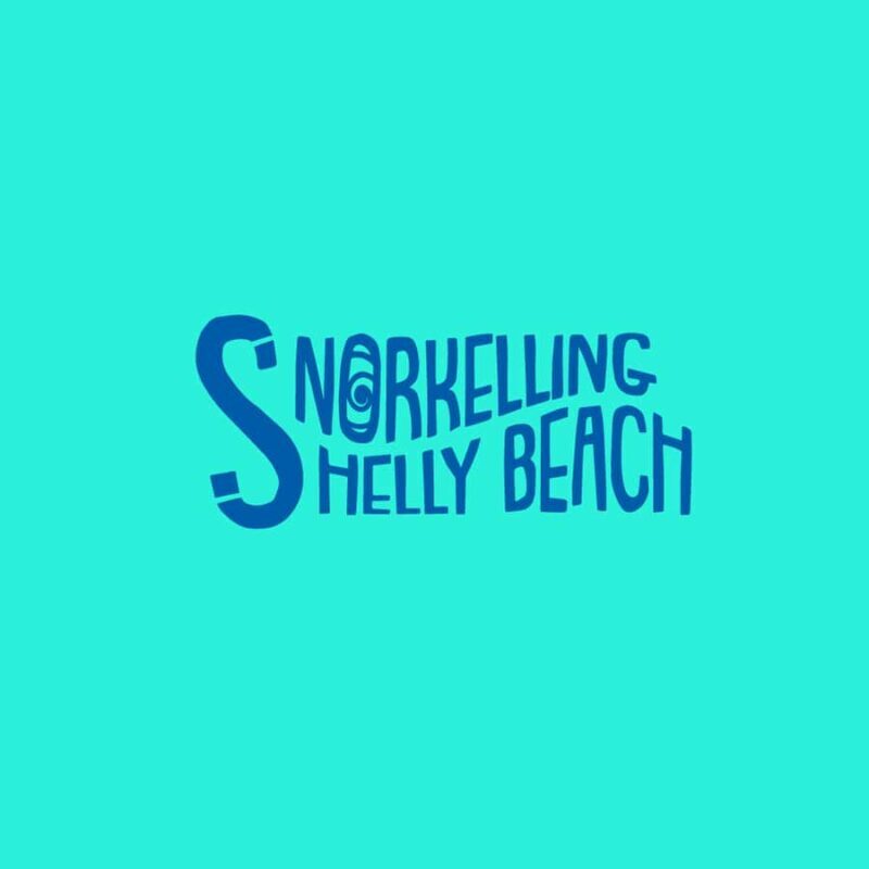 Manly Beach Guided Snorkeling Tours - Who Should Consider This Tour?