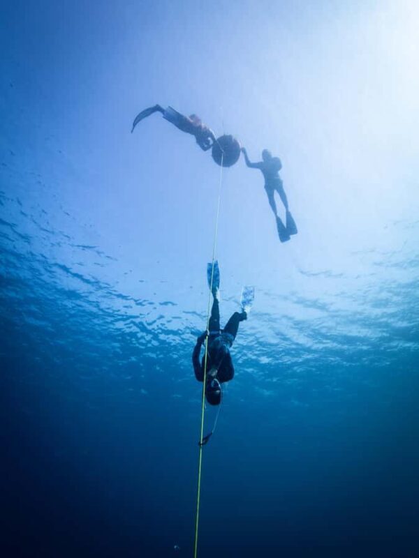 Manly: Beginner Freediving: Breath-Hold & Ocean Exploration - FAQs