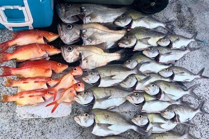 Manly Catch and Cook Ocean to Plate Experience - Authentic Experiences and Practical Tips