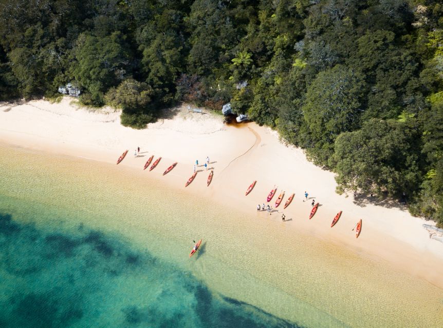 Manly: Mini Kayak Tour on Sydneys North Harbour - Key Points