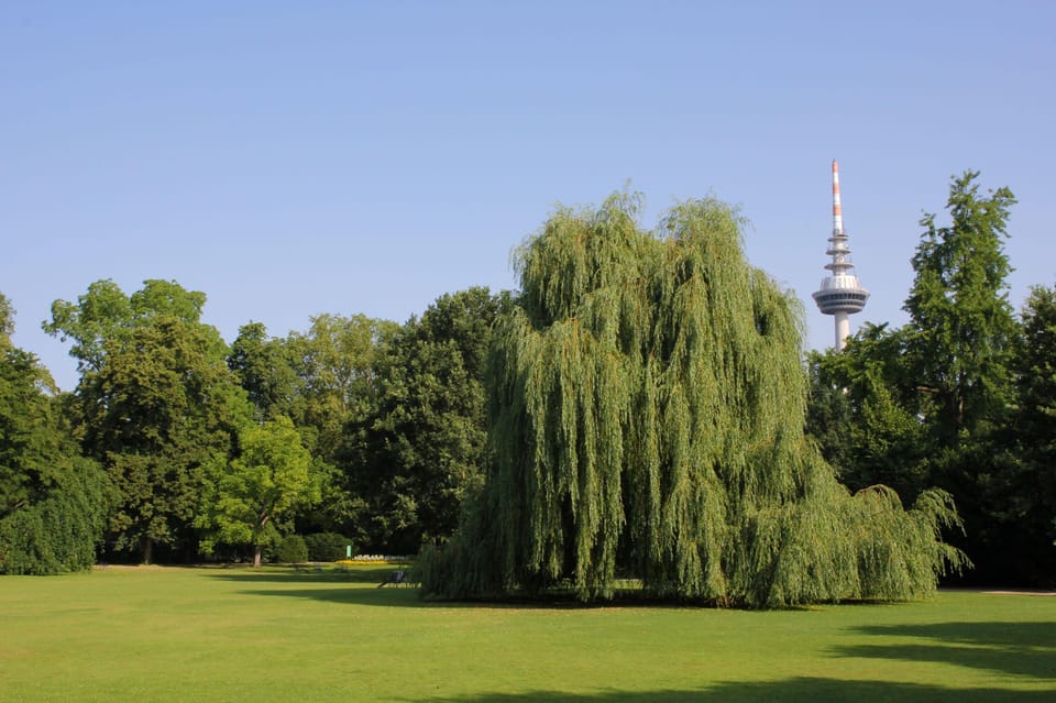 Mannheim, guided park tour: Luisenpark - An inviting look at Mannheim’s lush oasis