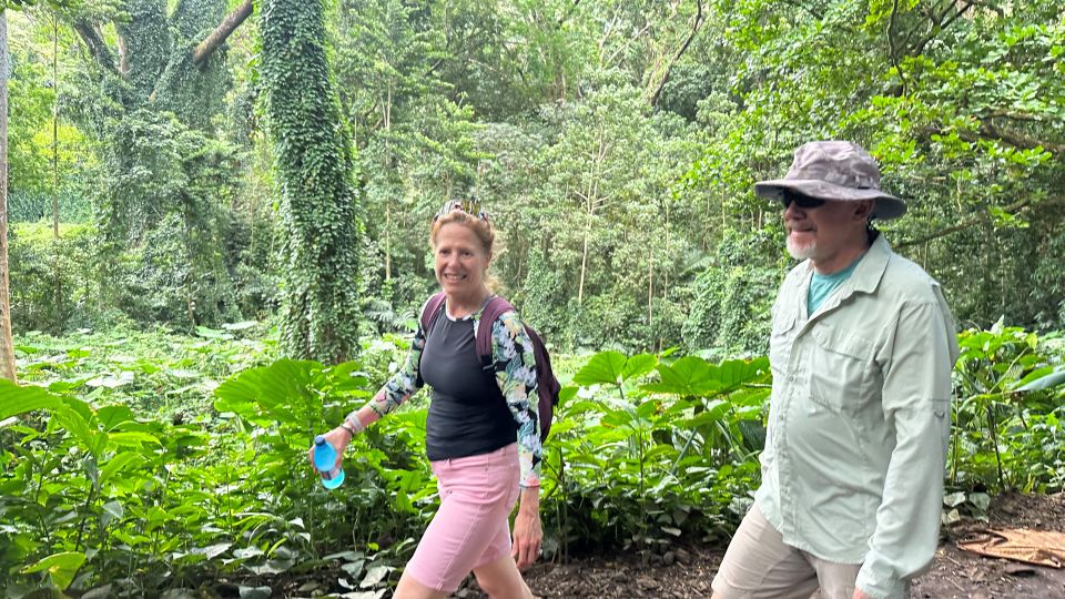 Manoa Falls Ebike to Hike - Accessibility and Restrictions