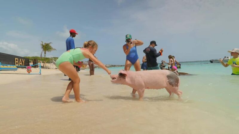 Mansa Bay w/ Swimming Pigs, Banana Boat, JetSki & Snorkeling - An In-Depth Look at the Mansa Bay Tour