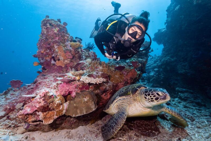 Manta Dive Gili Trawangan: Open Water Course - Marine Park Fee