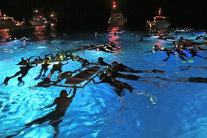 Manta Magic - Night Manta Ray Snorkel At Manta Village, Kona, Hawaii - Key Points