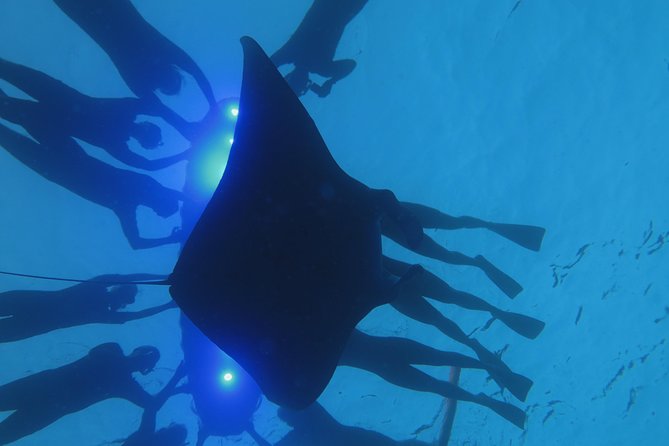 Manta Magic - Night Manta Ray Snorkel At Manta Village, Kona, Hawaii - Important Additional Information