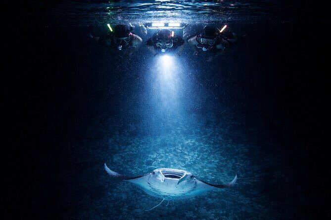 Manta Ray Night Snorkel Adventure in Kailua-Kona - Key Points