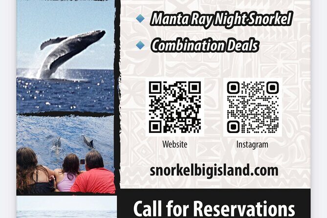 Manta Ray Night Snorkel Adventure in Kailua-Kona - Authentic Feedback from Guests