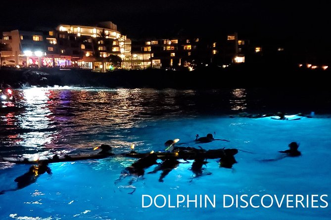 Manta Ray Night Snorkel at Kona, Big Island - Visitor Reviews and Recommendations