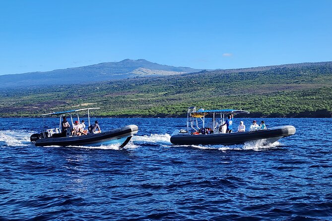 Manta Ray Night Snorkel at Kona, Big Island - Frequently Asked Questions