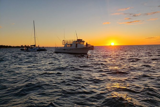 Manta Ray Night Snorkel in Kona - Visitor Experiences