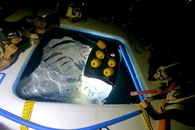 Manta Ray Snorkel Experience - An Overview of the Manta Ray Snorkel Experience