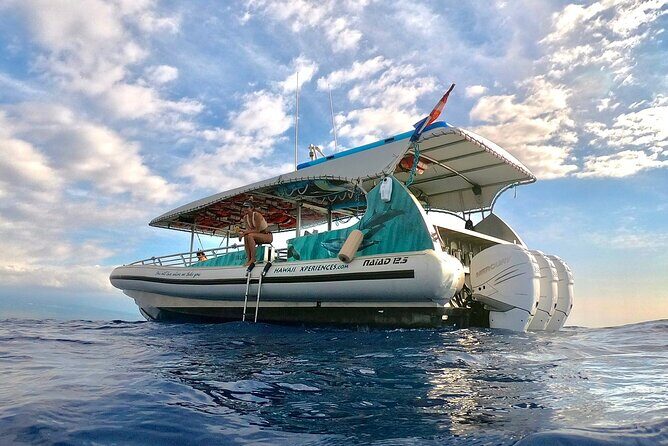 Manta Ray Snorkel Experience - Why Travelers Love This Tour