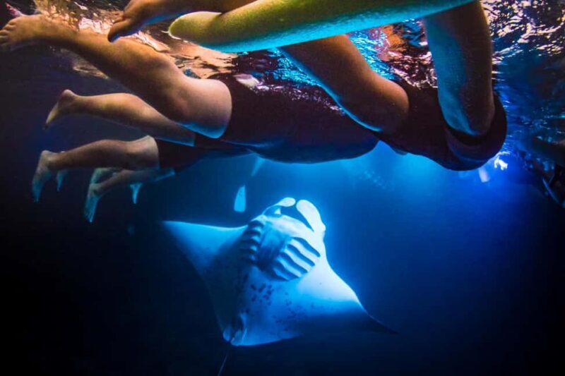 Manta Ray Snorkel in Kailua-Kona with Hot Cocoa - The Experience in Detail