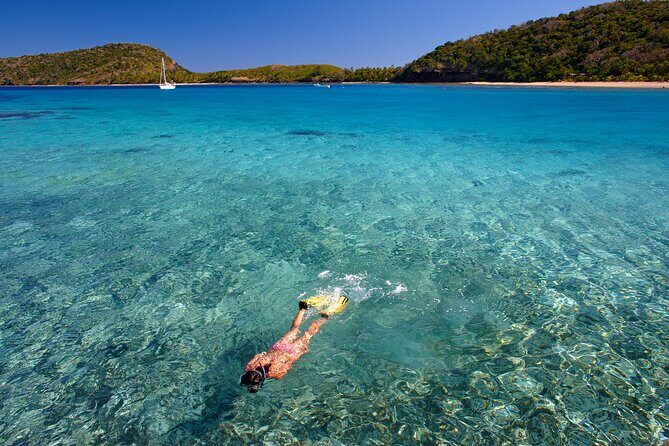 Mantaray Island Day Trip with Lunch - Key Points