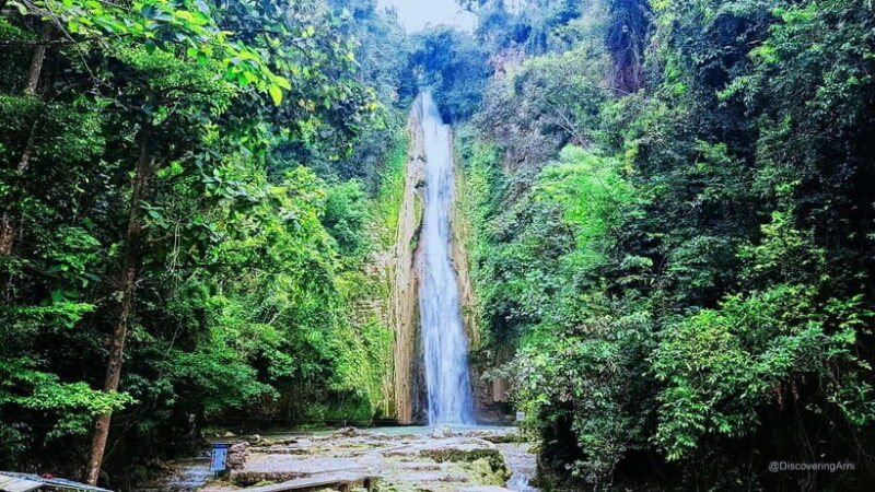Mantayupan Falls & Moalboal: Snorkeling & Sardine Run Tour - Introduction