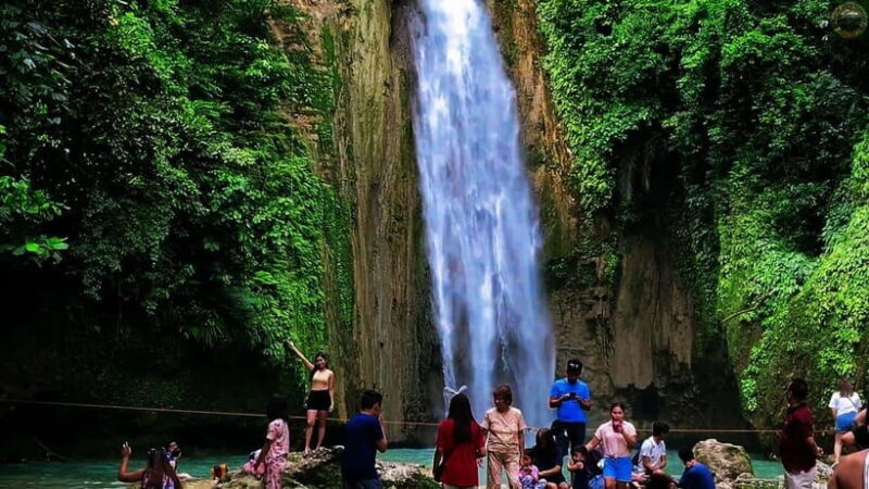 Mantayupan Falls & Moalboal: Snorkeling & Sardine Run Tour - Pescador Island and Marine Encounters