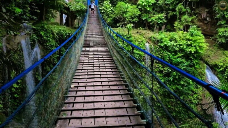 Mantayupan Falls & Moalboal: Snorkeling & Sardine Run Tour - Frequently Asked Questions