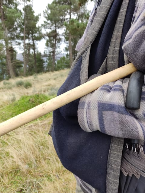 Manteigas: Serra da Estrela Shepherd Path Hike with Shepherd - The Experience: Stories, Scenery, and Support