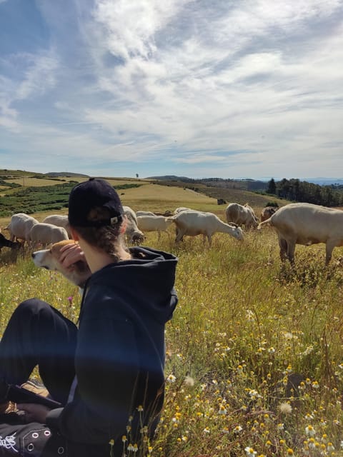 Manteigas: Serra da Estrela Shepherd Path Hike with Shepherd - The Sum Up