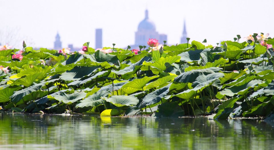 Mantova City Center and Ducal Palace: 3-Hour Guided Tour - Entrance Information