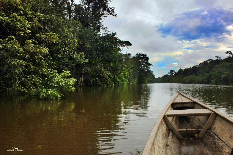 Manu Jungle Excursion 3D | Cloud Forest, Night Hike| - Language Options