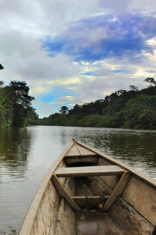 Manu Jungle Excursion 3D | Cloud Forest, Night Hike| - Recap