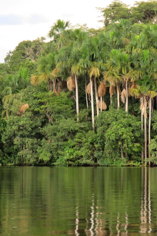 Manu Jungle Tour 4 Days - Responsible Travel