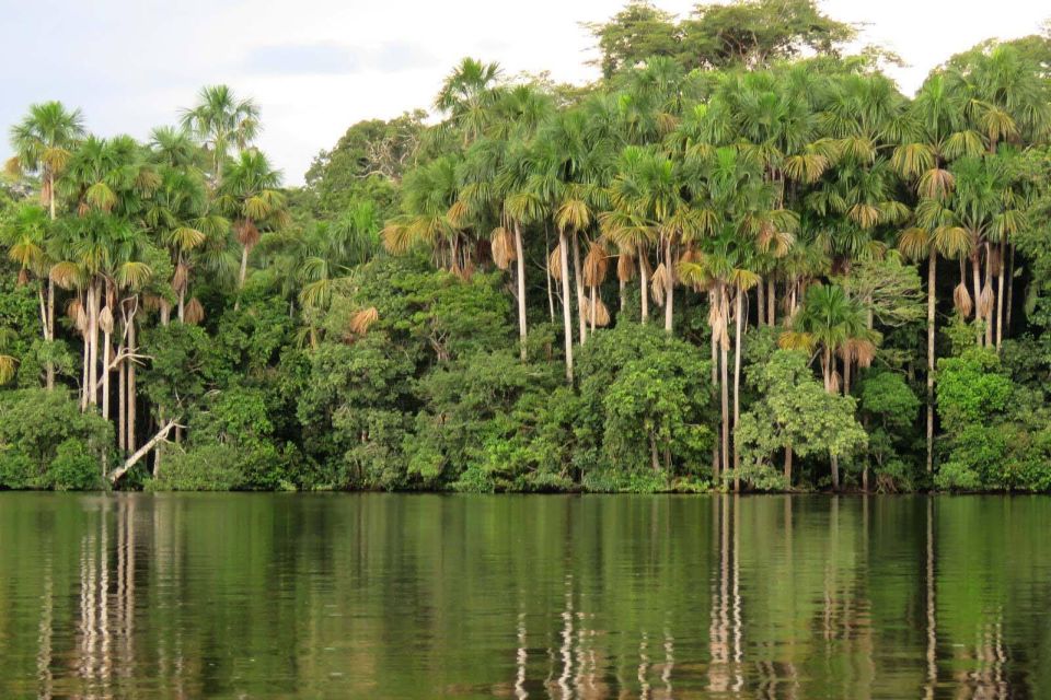 Manu Jungle Tour 4 Days - Frequently Asked Questions