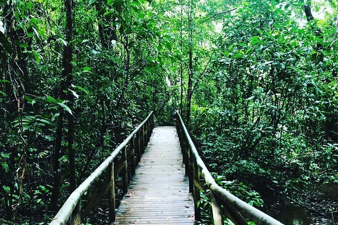 Manuel Antonio National Park - Breakfast and Local Cuisine