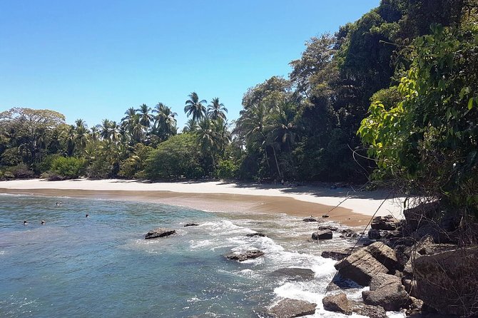 Manuel Antonio National Park; Beach & Sightseeing Day Trip From San Jose - Itinerary and Schedule