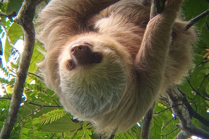 Manuel Antonio Rain Forest Park and Beach - Good To Know