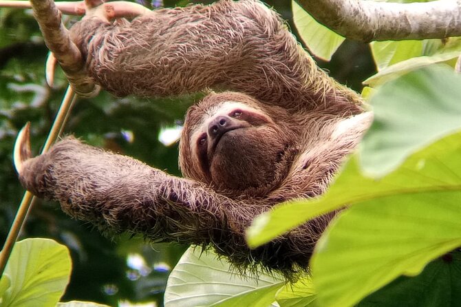 Manuel Antonio Rain Forest Park and Beach - Preparing for the Visit