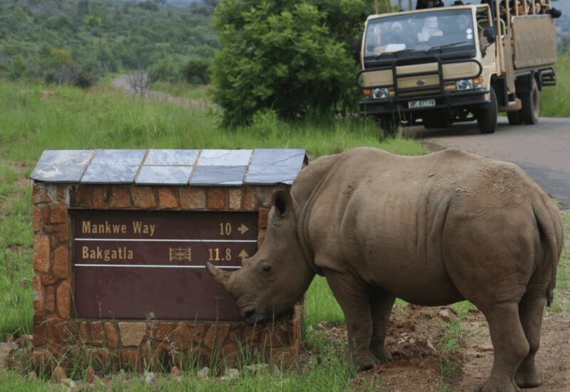 Manyane: 6HGame Drive with Lunch - FAQ