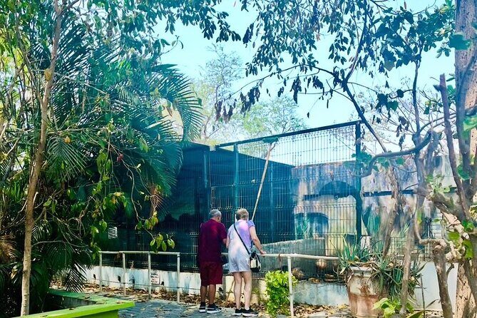 Manzanillo Tour with Transportation and Face-to-face Guide - Frequently Asked Questions