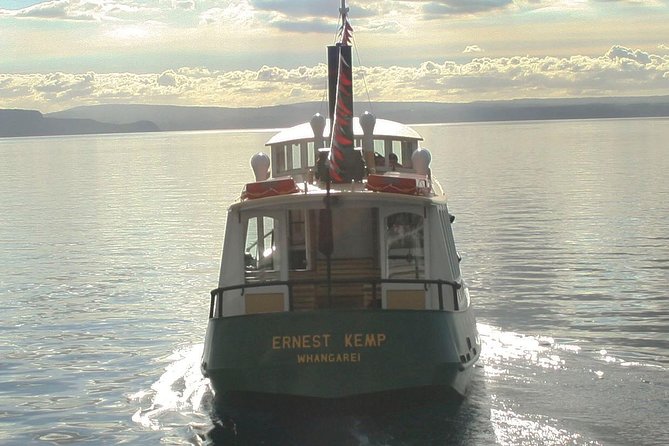 Maori Rock Carvings Scenic Cruise - Accessibility Features