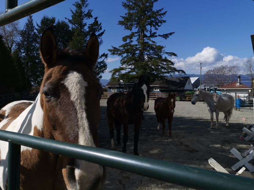 Maple Ridge: City Highlights Private Tour - Historic Port Haney