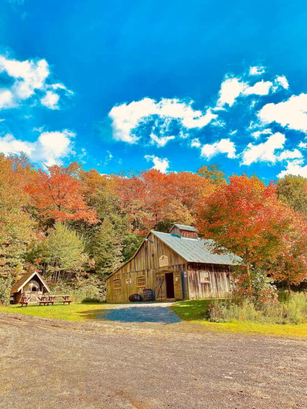 Maple Syrup Museum Tour with Tastings - The Itinerary in Detail