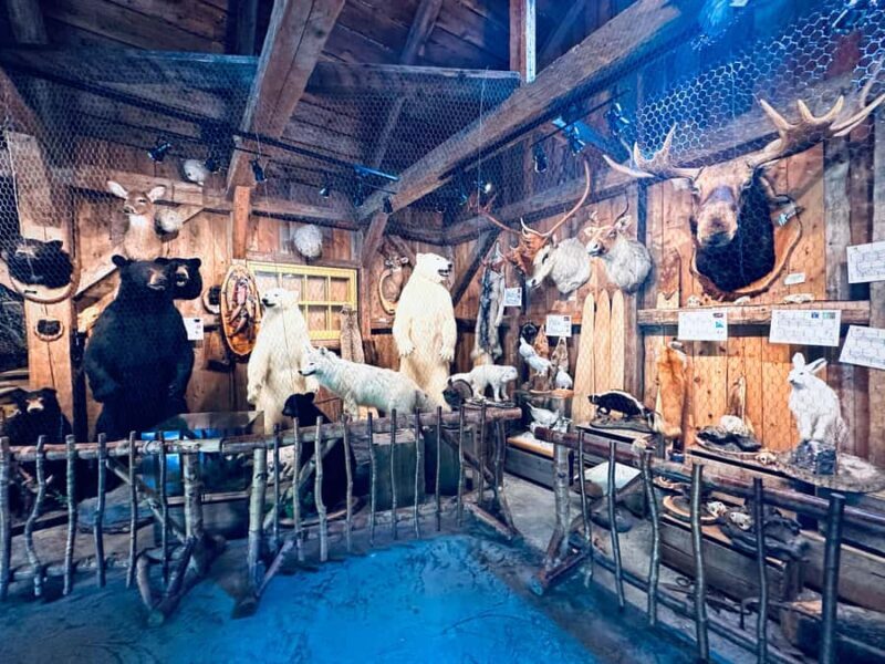 Maple Syrup Museum Tour with Tastings - Practical Tips for Visitors