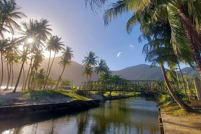 Maracas Beach Excursion & City Pass by tour - Pricing & Value